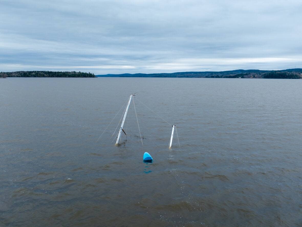 This is all that's visible of the sailboat that was frozen into the ice of the St. John River over the winter.  (Roger Cosman/CBC - image credit)