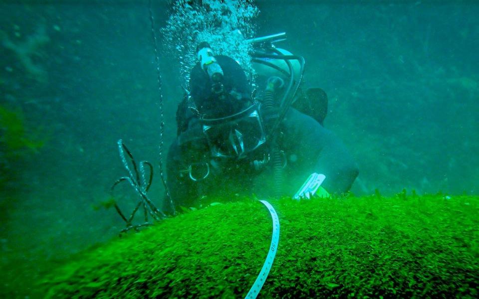 Divers with the Royal Canadian Navy found bombs in the wreckage of two ships from 1942. / Credit: Bryan Underwood/ Royal Canadian Navy