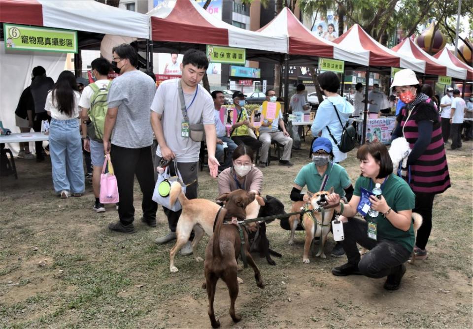 南瀛綠都心現場設置疫苗接種及寫真速繪等宣導攤位，吸引不少飼主帶著愛犬參加。（記者翁聖權攝）