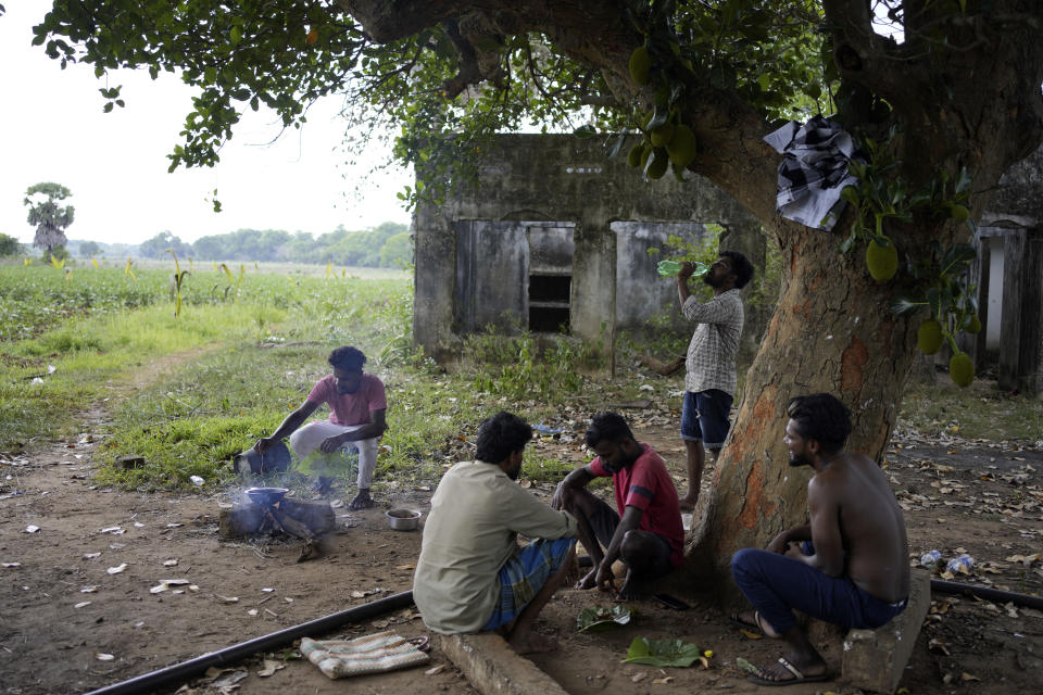 Young ethnic Tamils drink a local alcoholic brew as they spend time together in the village of Thunukkai in Mullaitivu, Sri Lanka, May 7, 2024. Sri Lanka's Tamil people still live in the shadow of defeat in the civil war that tore the country apart until it ended 15 years ago. (AP Photo/Eranga Jayawardena)