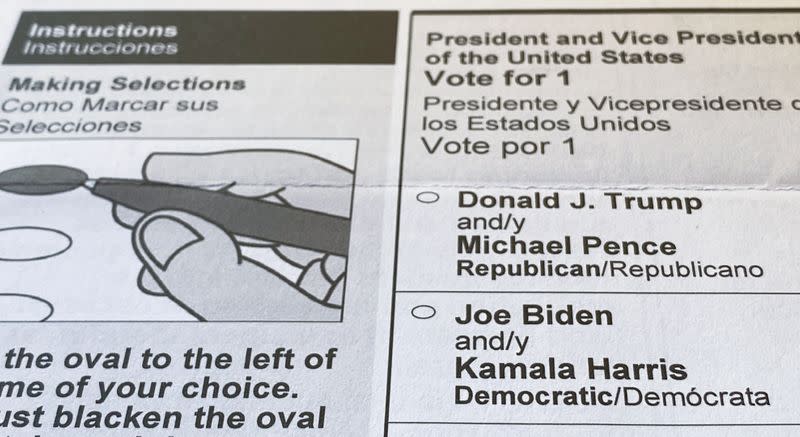 FILE PHOTO: An official mail-in ballot for the 2020 U.S. presidential election is seen in Maryland