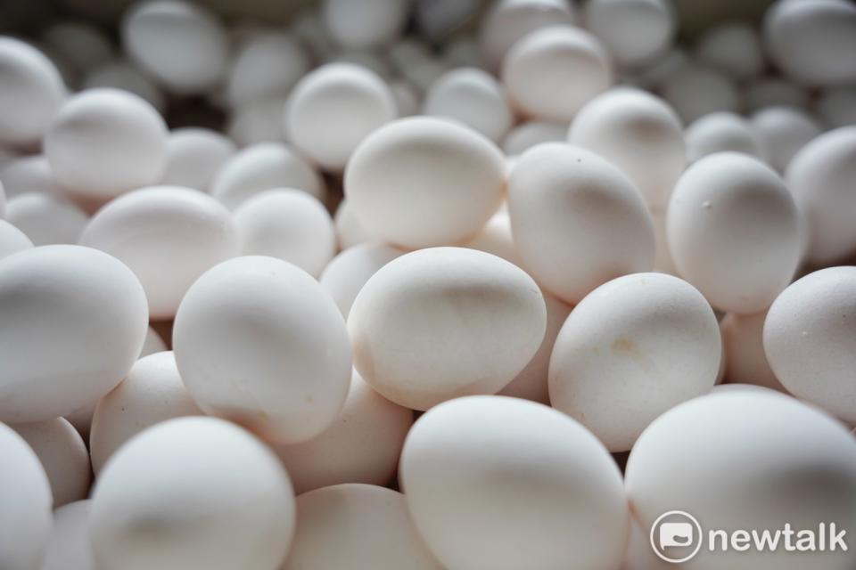 儘管國內蛋價已連續2週下降，但為了防範禽流感疫情可能再次造成蛋荒，農業部表示本月仍將進口約250萬顆雞蛋。(雞蛋示意圖)   圖：張良一／攝