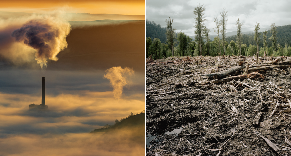 Some climate change activists were dismayed after reading predictions in the IPCC's report. Source: Getty - File