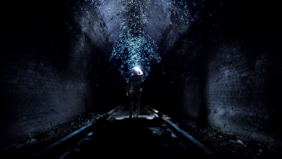 Glow worms in the old railway tunnel at Helensburgh. Photo: Supplied/Destination NSW