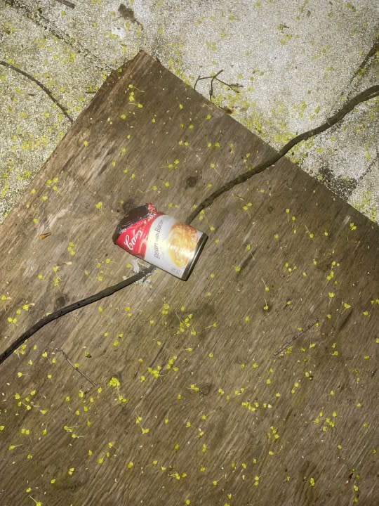 A can in downtown Portland is suspected to be one of many thrown from a high-rise apartment. May 16, 2024 (courtesy Lauren Ellis).