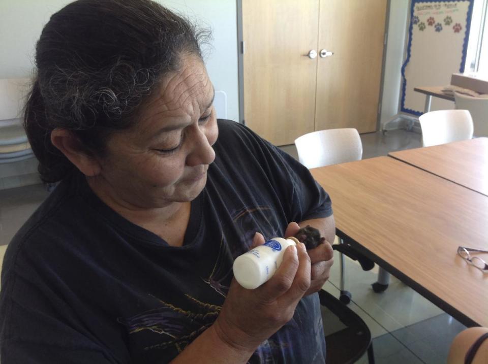 This March 21, 2017 photo Diane Chase, feeds one of four kittens born to a stray cat that got its head stuck in a peanut butter jar after she was rescued the day before at the San Jacinto Shelter in Riverside, Calif. The stray cat they named Skippy, gave birth to a litter of kittens named Peanut, Butter, Jelly and Honey on Tuesday before she was euthanized. (Gail Wesson /The Press-Enterprise via AP)