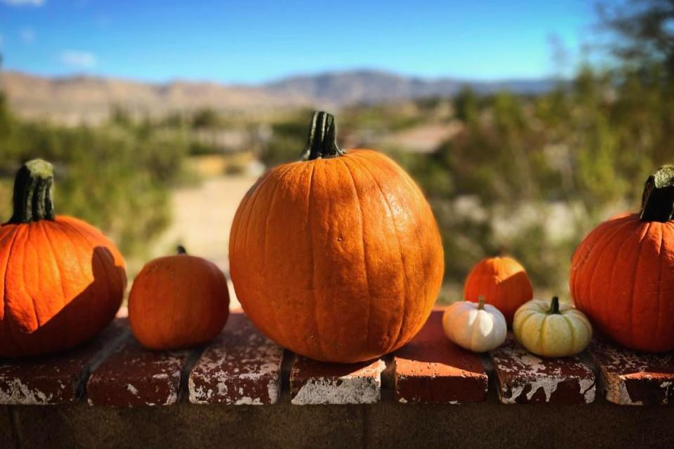 Welcome to October in the High Desert, a month filled with fall festivals, Halloween-themed events, trunk-or-treats, car shows, pumpkins and plenty of candy.