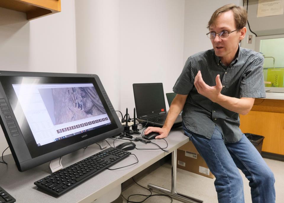 Associate professor Alexandre Tokovinine shows a 3D scan of a Notre Dame Cathedral sculpture that shows traces of paint that have not weathered away during an interview at the University of Alabama on Friday, Sept. 8, 2023.