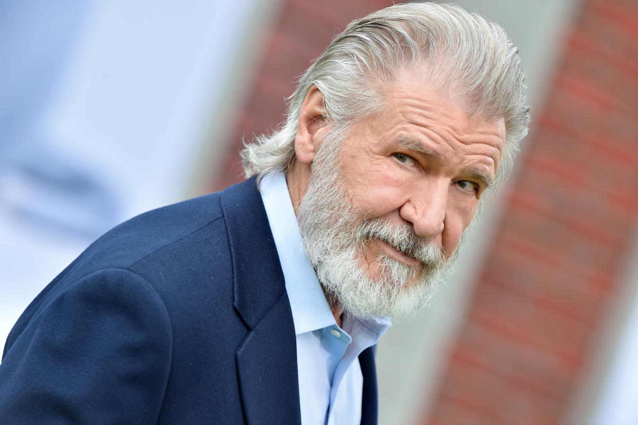 WESTWOOD, CALIFORNIA - JUNE 02: Harrison Ford attends the premiere of Universal Pictures' "The Secret Life of Pets 2" at Regency Village Theatre on June 2, 2019 in Westwood, California. (Photo by Axelle/Bauer-Griffin/FilmMagic)