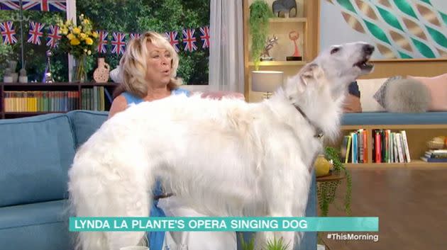 Lynda LaPlante's enormous dog shows off his vocal prowess (Photo: ITV)