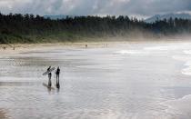 <p>Known for its year-round swells, Canada’s surf capital comes with a cold-water reputation that has helped to keep it a relative secret from the rest of the world. But lately, this remote Vancouver Island gem is seeing more visitors for a new reason: wild food. Chefs are using ingredients foraged straight from the Pacific Ocean and huge swaths of temperate rain forest—Tofino’s front and backyard. The salmon is so recently caught that chefs try not to grumble over the fact that the still-tense flesh is difficult to clean. Check out the new <a rel="nofollow noopener" href="http://www.seamonsternoodle.com/" target="_blank" data-ylk="slk:Sea Monster Noodle Bar;elm:context_link;itc:0;sec:content-canvas" class="link ">Sea Monster Noodle Bar</a>, where the broth simmers with dried kelp and the poke is made with fresh-caught tuna. At <a rel="nofollow noopener" href="http://www.wolfinthefog.com/" target="_blank" data-ylk="slk:Wolf in the Fog;elm:context_link;itc:0;sec:content-canvas" class="link ">Wolf in the Fog</a>, order smoky potato-crusted oysters and sourdough toast topped with just-plucked chanterelles. Pair it with forest-fresh beverages, like the rye infused in-house with raw cedar or <a rel="nofollow noopener" href="http://tofinobrewingco.com/" target="_blank" data-ylk="slk:Tofino Brewing Company’s;elm:context_link;itc:0;sec:content-canvas" class="link ">Tofino Brewing Company’s</a> seasonal Spruce Tree Ale, steeped with locally foraged Sitka spruce tips. And stay at <a rel="nofollow noopener" href="http://www.longbeachlodgeresort.com/" target="_blank" data-ylk="slk:Long Beach Lodge Resort;elm:context_link;itc:0;sec:content-canvas" class="link ">Long Beach Lodge Resort</a>, where magical days on Cox Bay Beach include foraging treks with chef Ian Riddick—so you can see what the same food looks like in the wild. <em>—Nina Kokotas Hahn</em></p>