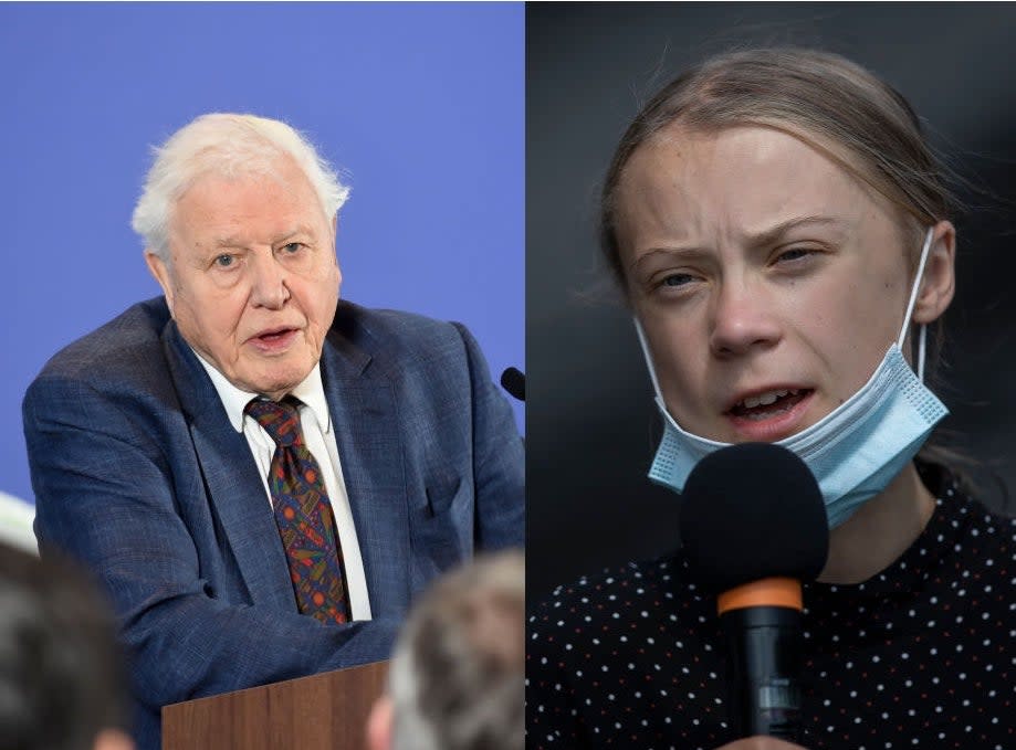 Greta Thunberg and David Attenborough are both fighting climate change ( Jeremy Selwyn (WPA Pool/Getty Images) and Maja Hitij/Getty Images)