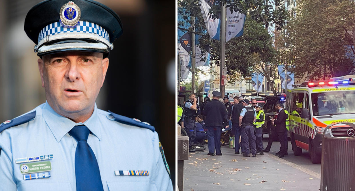 Left: Superintendent Martin Fileman pictured addressing the media. Right: Scene of the crime.