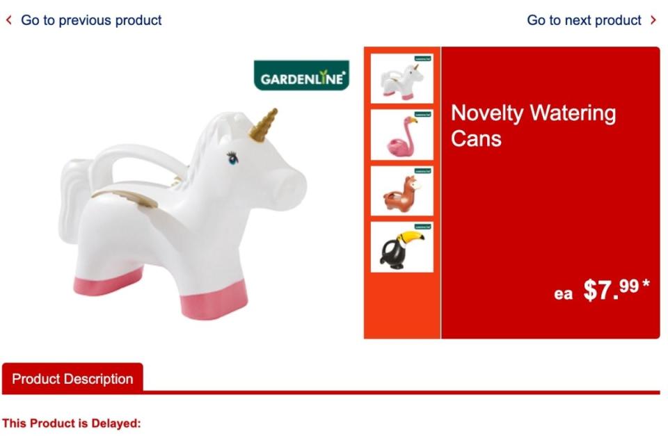 Aldi Special Buys novelty watering can delayed