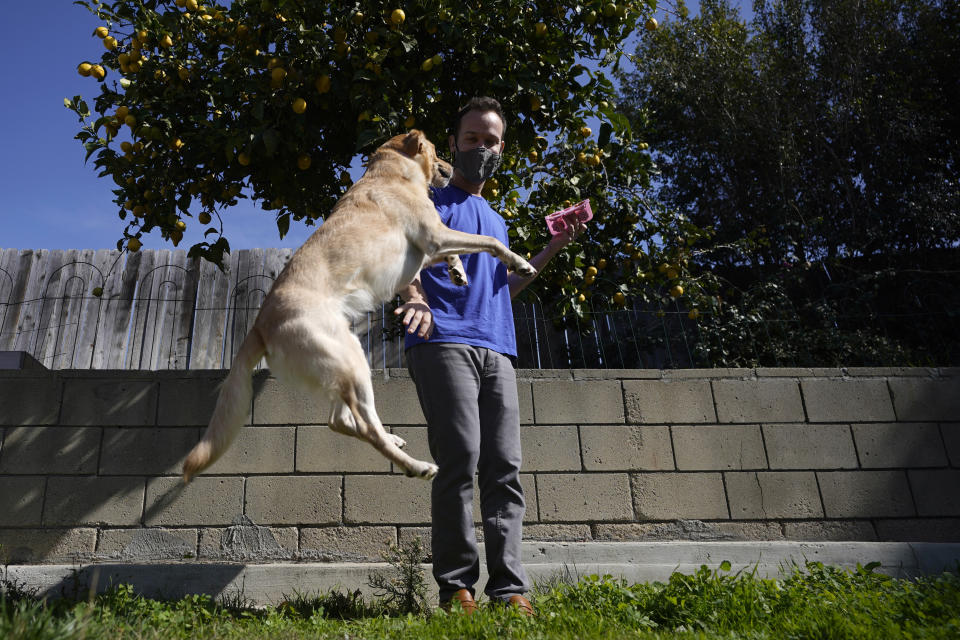 Alex Willen brings out treats for his dogs at his home, Thursday, Feb. 11, 2021, in San Diego. Willen was preparing to open a dog boarding business when the pandemic hit. Willen sensed the virus outbreak wouldn't end quickly, which meant dog owners wouldn't be traveling and many would keep working at home, eliminating the need for his services. He decided to restart a business he'd shelved in favor of boarding, dog treats. (AP Photo/Gregory Bull)