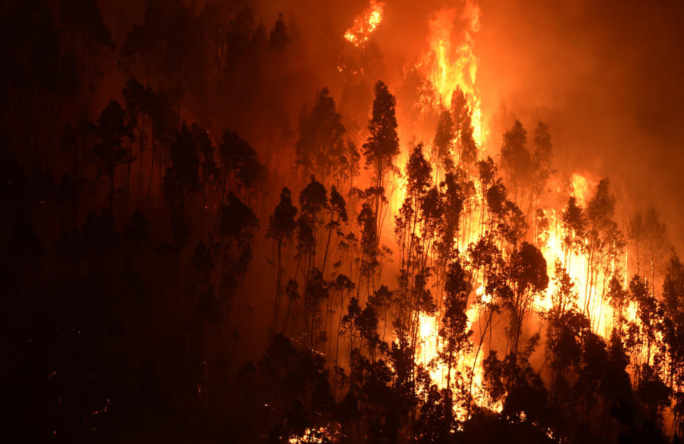 <p>A forest goes up in flames during a wildfire near the village of Mega Fundeira,<br> Portugal, June 18, 2017. (Miguel Riopa/AFP/Getty Images) </p>