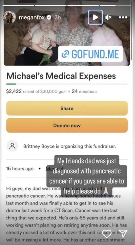 Screenshot of Megan Fox sharing the GoFundMe on her Instagram story