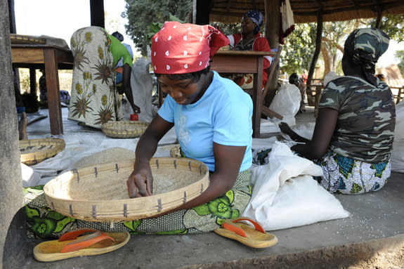 Farmers in the Zambia's Luangwa Valley grow vegetables with a rural development model linking agriculture and local markets to natural resource management.