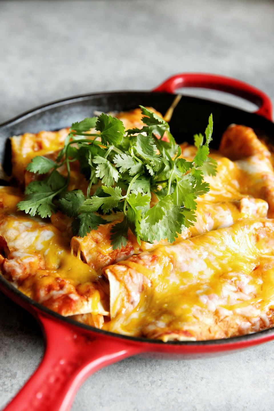 Cheesy Chicken Enchiladas