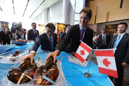 Canada's Prime Minister Justin Trudeau picks up a lobster during a meeting with Jack Ma, Chairman and chief executive of Alibaba Group, at the company's Xixi Campus in Hangzhou, Zhejiang Province, China, September 3, 2016. REUTERS/Stringer