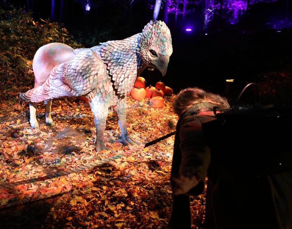 Buckbeak the Hippogriff during an "inside look" at Harry Potter: A Forbidden Forest Experience at the Franklin D. Roosevelt State Park in Yorktown Heights, photographed Oct. 20, 2022. The attraction will run through Jan. 22, 2023, although it could be extended due to demand.