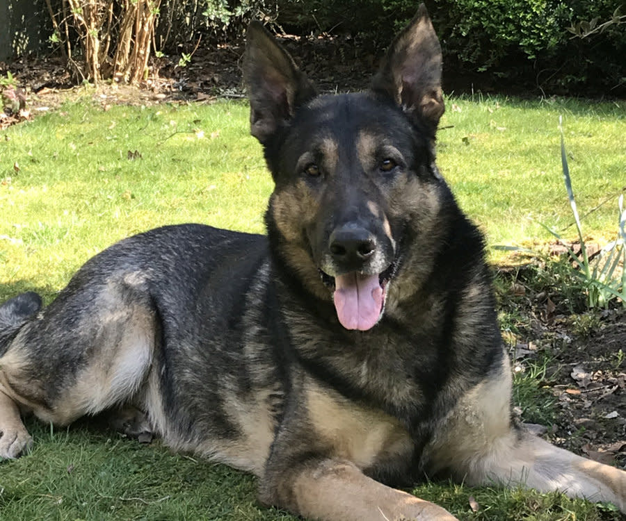 PD Akie has served with Nottinghamshire Police for seven years. (SWNS)