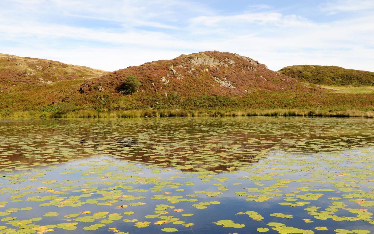 Bearded Lake is referred to by its Welsh name Llyn Barfog