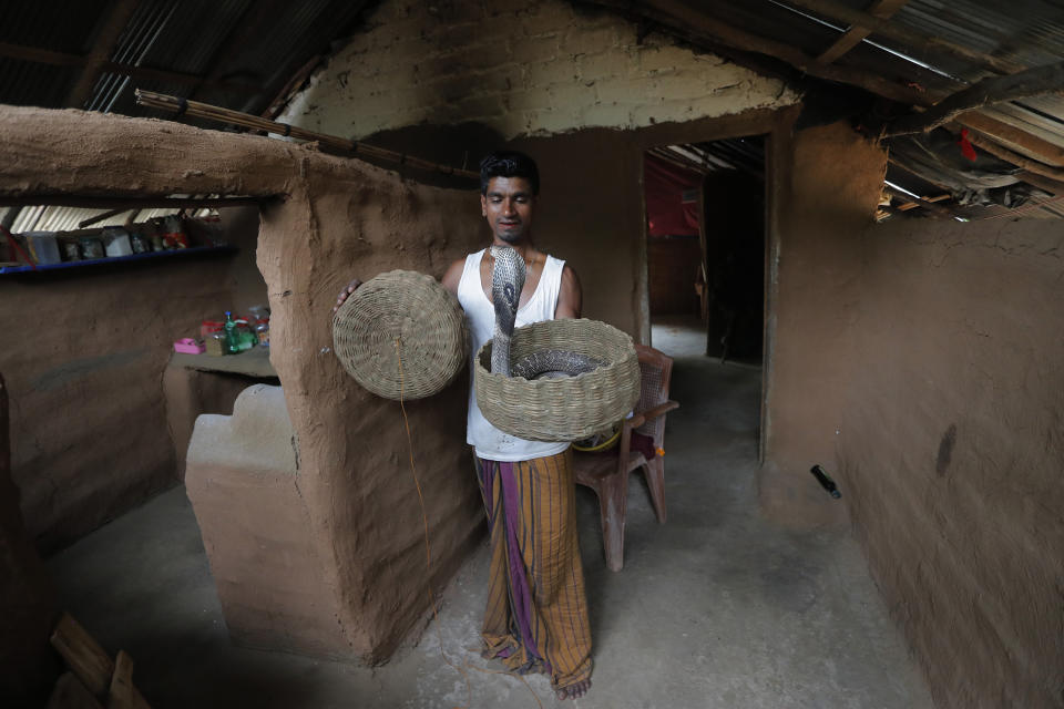 A Sri Lankan Telugu man Masannage Raja holds a basket containing a cobra in his dwelling in Kalawewa, Sri Lanka, Tuesday, June 16, 2020. Sri Lanka's Telugu community, whose nomadic lifestyle has increasingly clashed with the modern world, is facing another threat that could hasten its decline: the COVID-19 pandemic. (AP Photo/Eranga Jayawardena)