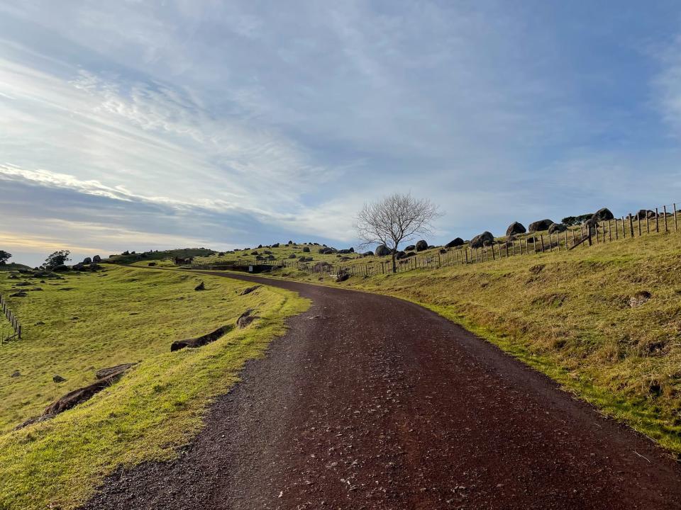 The trail that leads to the Fort Stony Batter.