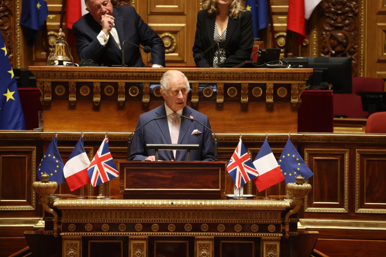The King addresses parliamentarians in the Senate Chamber, at Luxembourg Palace in Paris (Ian Vogler/Daily Mirror/PA) (PA Wire)
