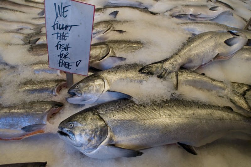 A new study published in the American Journal of Respiratory and Critical Care Medicine suggests a link between consumption of omega-3 fish oil -- like that found in tuna, salmon (pictured) and sardines -- and greater lung health. File Photo by Jim Bryant/UPI