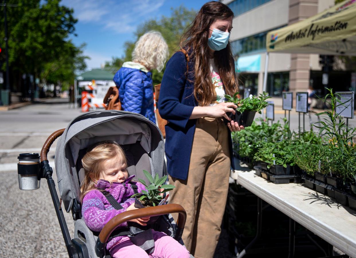 Sabrina Serafin, 2, checks out a sage plant as her mother, Emily Serafin, shops the selection at the Gregory Orchard and Garden stand during the first Old Capitol Farmers Market of the summer season along East Adams Street in Springfield, Ill., Wednesday, May 12, 2021.