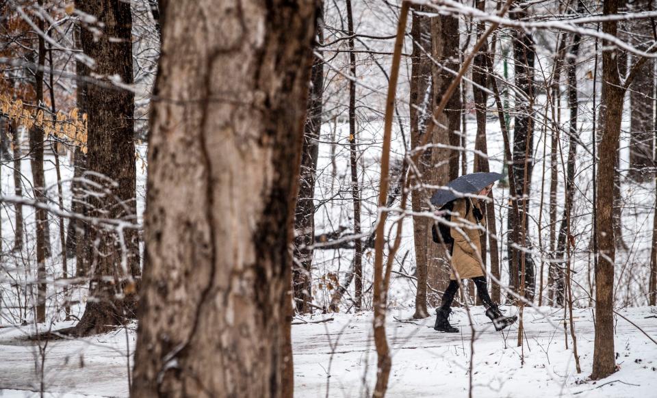 An Indiana University student uses a umbrella along a path on the Indiana University campus on Wednesday, Jan. 25, 2023.