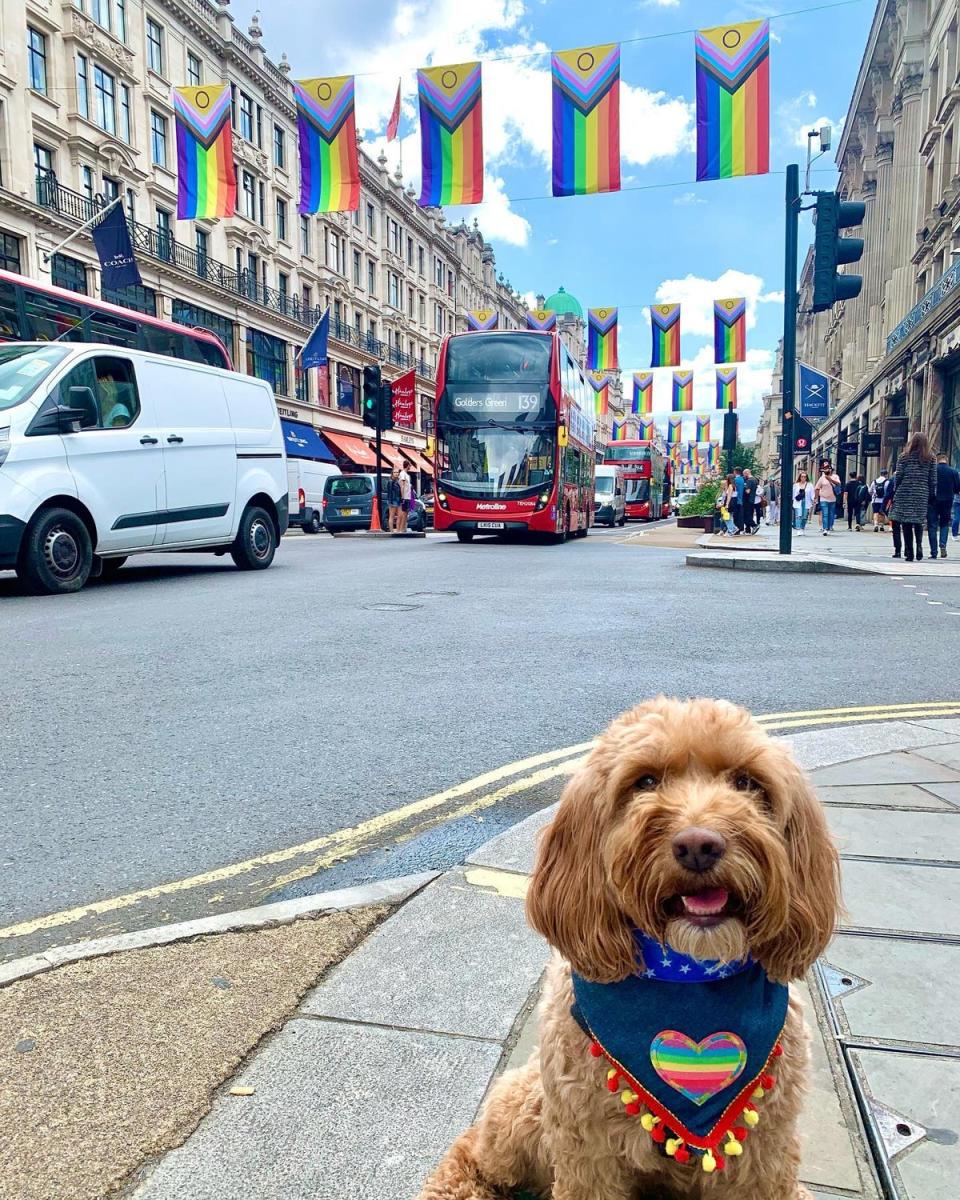 Lady wore a Pride bandana for the parade on Saturday (Becca Ives/PA)