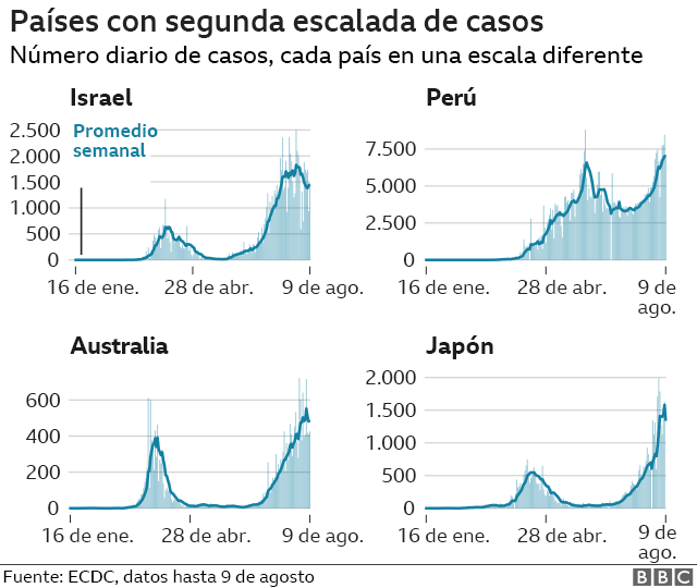 Grafico con