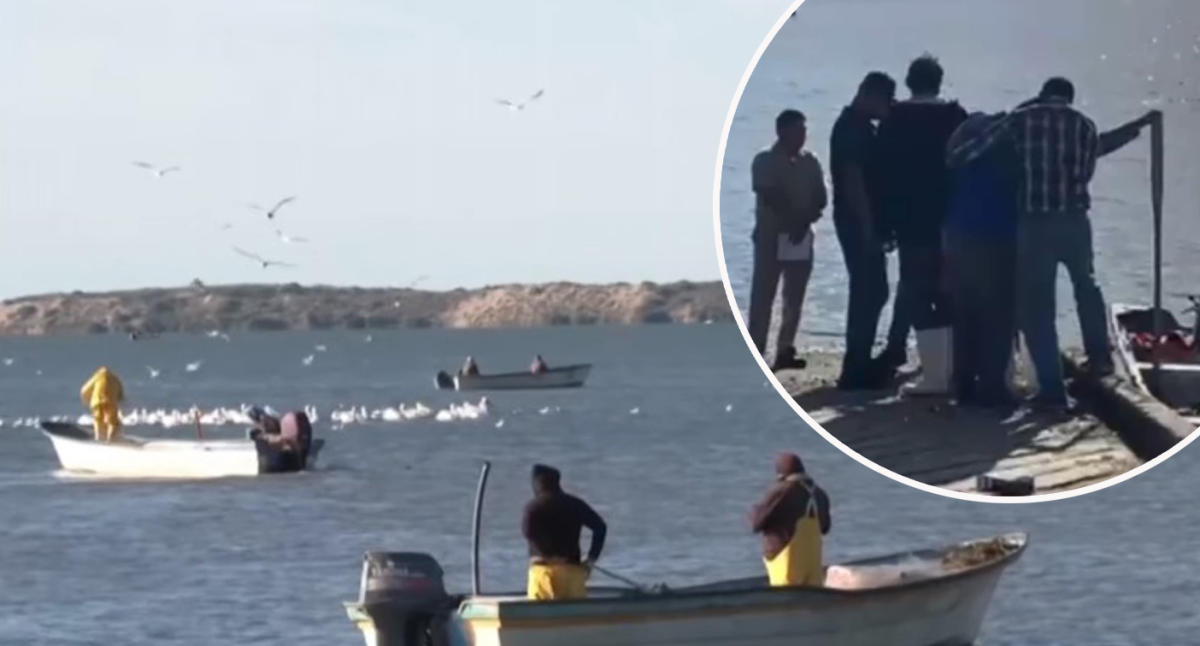 fisherman holds in his hand a lot of worms for fishing 35042664