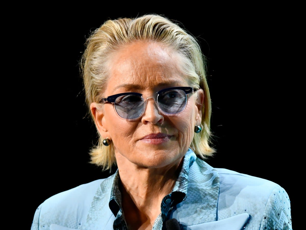 Sharon Stone is not a fan of Johnny Depp’s art skills (Getty Images for VOX Media)