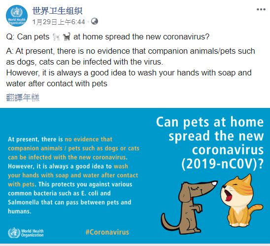 世界衛生組織上個月底才發布，目前沒有證據顯示貓狗等寵物會感染武漢肺炎。（圖／世界衛生組織臉書）