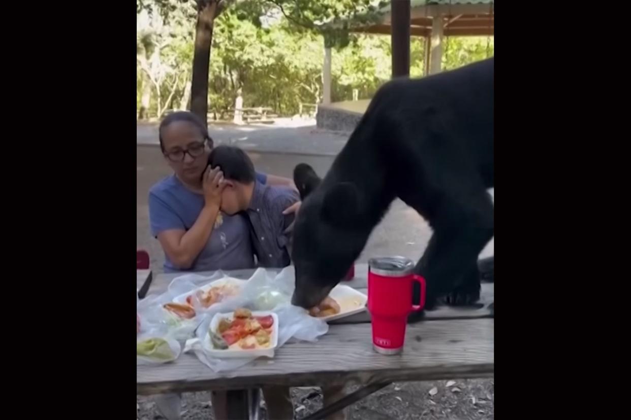 Watch: Mother Protects Son as Bear Jumps on Picnic Table and Eats Family's Lunch photo