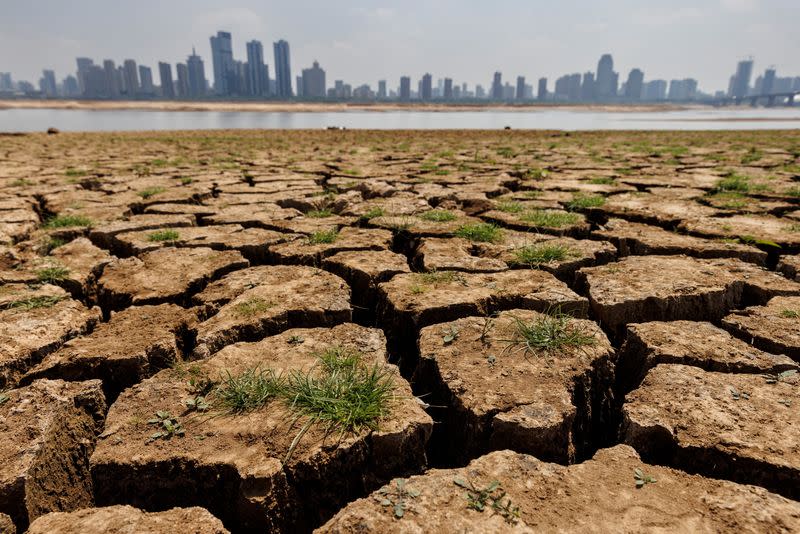 FILE PHOTO: Cracks run through the partially dried-up river bed of the Gan River, a tributary to Poyang Lake during a regional drought in Nanchang