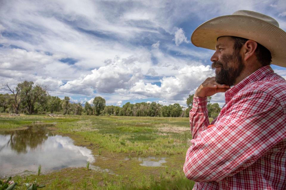 Kyler Brown, a farmer in the San Luis Valley, looks on the cottonwood stands on his father-in-law’s property along the Rio Grande in Monte Vista. “It makes me sad to go through drought, but every other year is drought.”