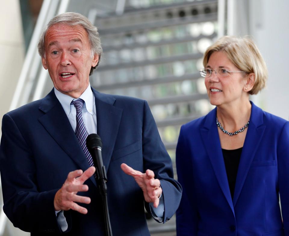 Massachusetts senators Ed Markey and Elizabeth Warren are among the sponsors of a bill that would require airlines to issue a refund to any passenger who wants one during the pandemic.