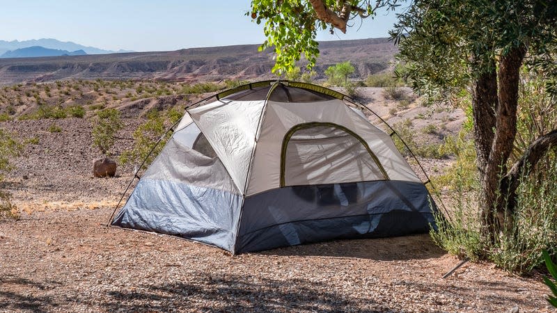 A small camp tent at the Las Vegas Bay Campground faced toward a desert valley with a large tree next to it.
