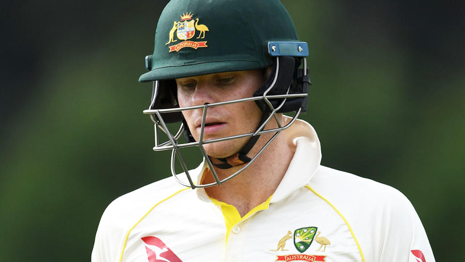 Steve Smith, pictured here batting with the neck guard during his innings.