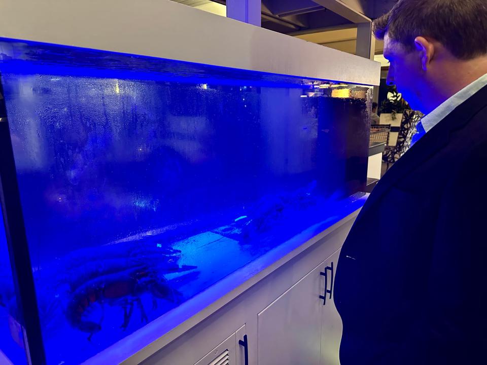 Terri Peters' husband standing next to a blue lobster tank.