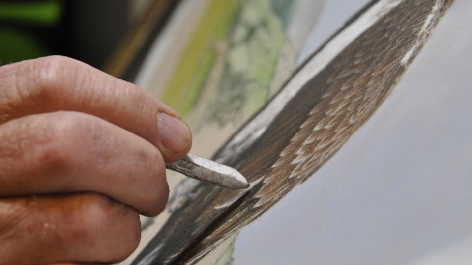 A hand drawing a picture of feathers