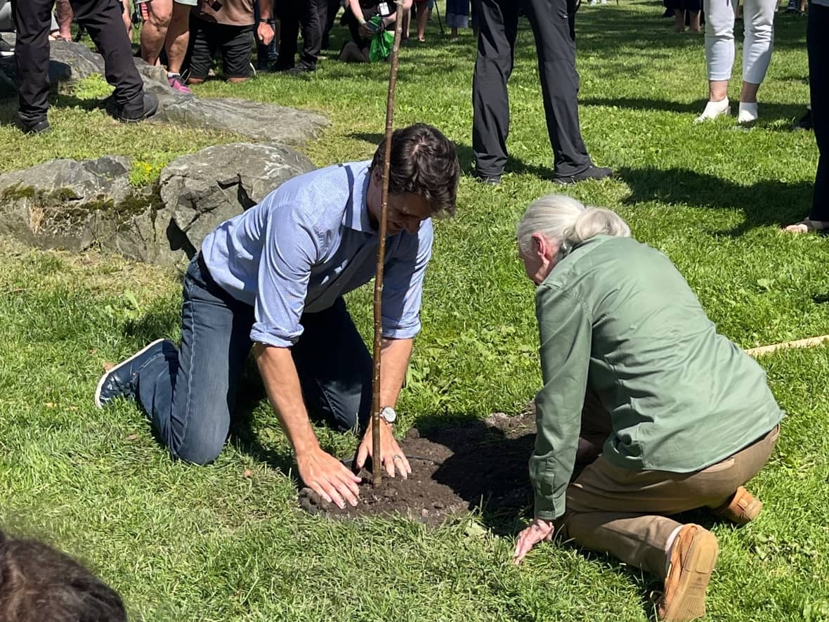 Prime Minister Justin Trudeau and Jane Goodall help plant the 10 millionth tree in Greater Sudbury in northern Ontario on Thursday. The city and its partners have been working to ecologically reclaim the land since 1978. (Ashishvangh Contractor/CBC - image credit)