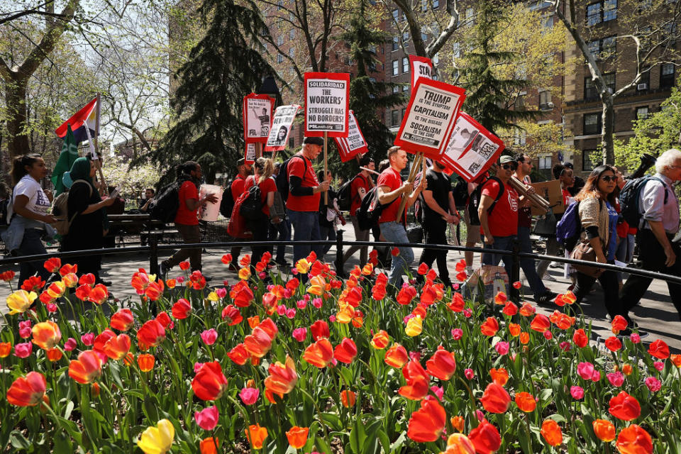 <p>Bei einer Mai-Demo für mehr Arbeitsrechte in New York City passieren Menschen ein blühendes Tulpenfeld. In den Händen tragen sie Schilder, auf denen steht: „Trump ist das Symptom, Kapitalismus ist die Krankheit. Sozialismus ist die Heilung.“ (Bild: Getty Images /Spencer Platt) </p>