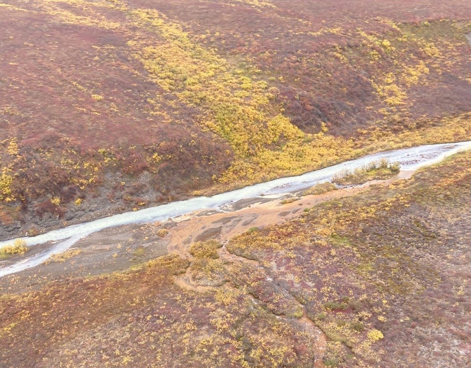 A tributary of the Salmon River in Alaska with orange water flowing in