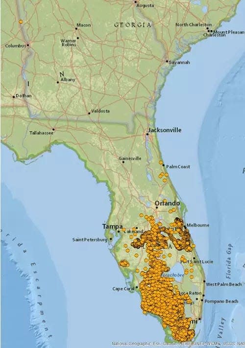 Florida panthers range from the extreme southern portions of the peninsula into Central Florida up to Orlando and occasionally further north.